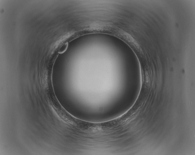 X0000066100588200603101143