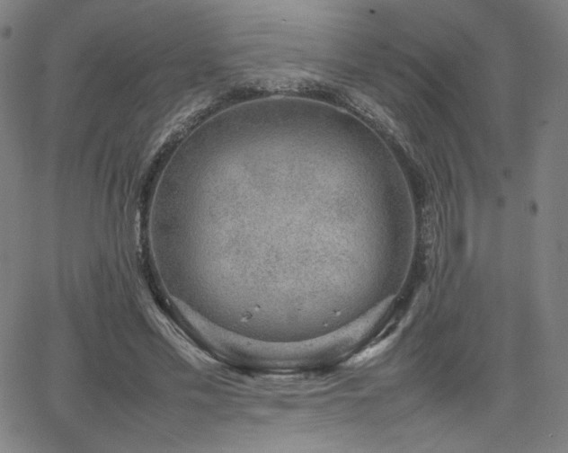 X0000066100589200603101143