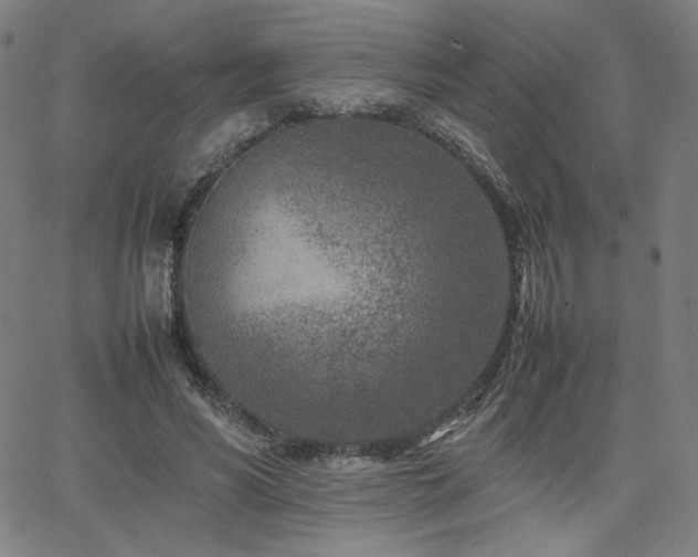 X0000066100590200603101143