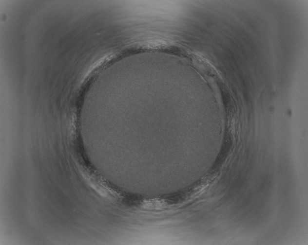 X0000066100591200603101143