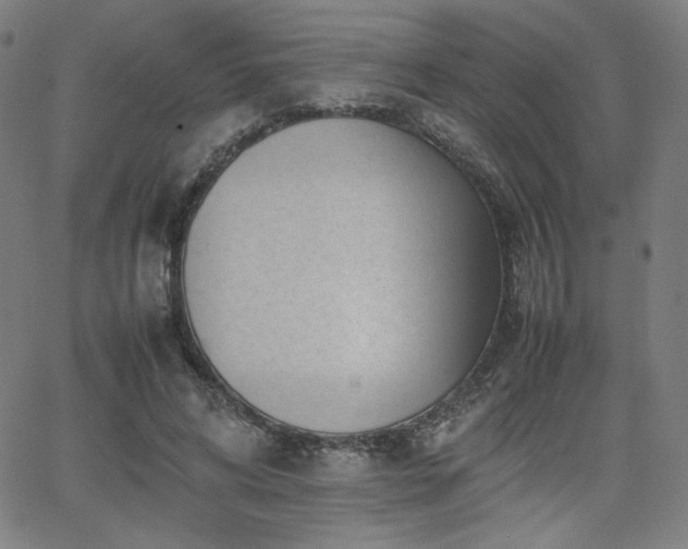 X0000066100592200603101143