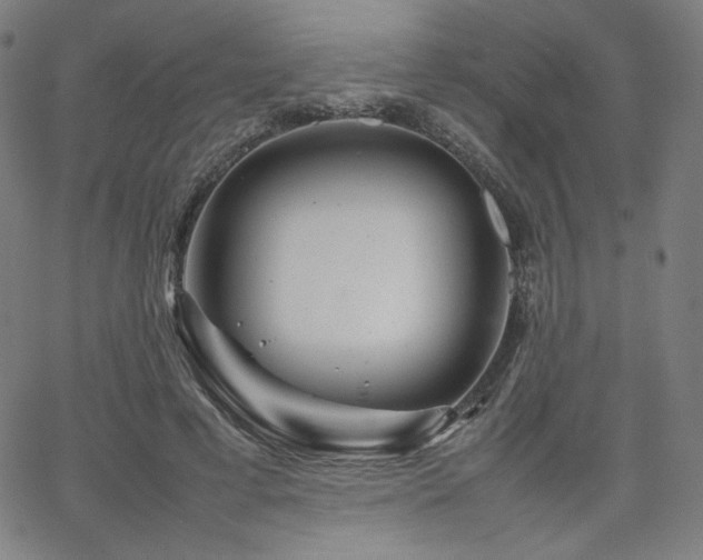 X0000066100593200603101143