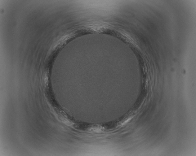 X0000066100595200603101143