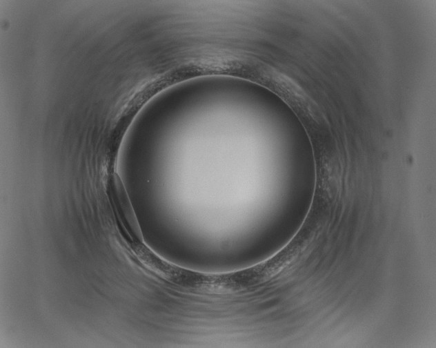 X0000066100596200603101143