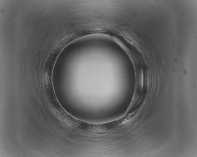 X0000066100597200603101143