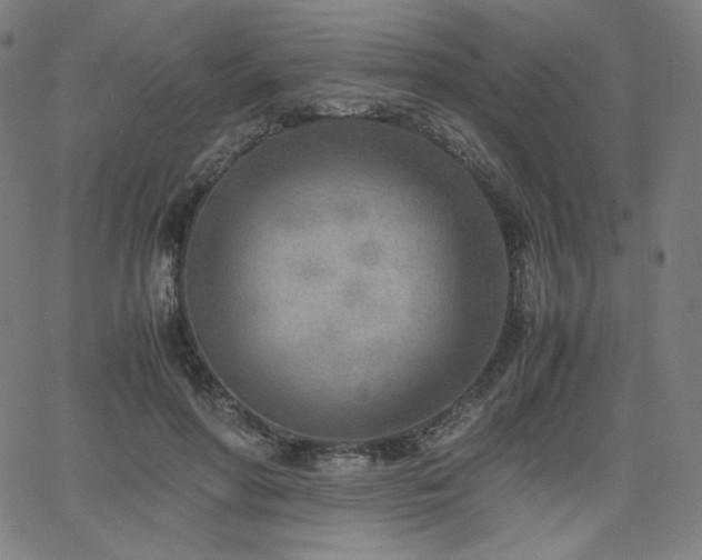 X0000066100598200603101143