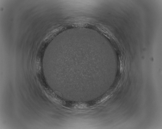 X0000066100599200603101143