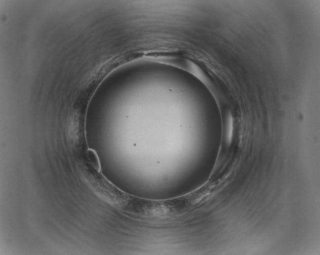 X0000066100600200603101143