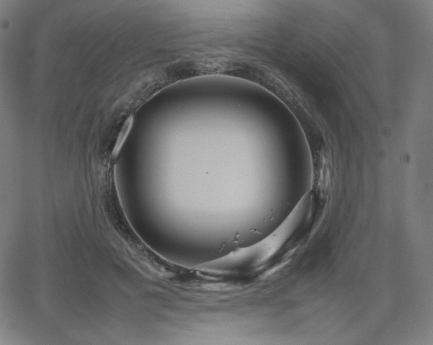 X0000066100601200603101143