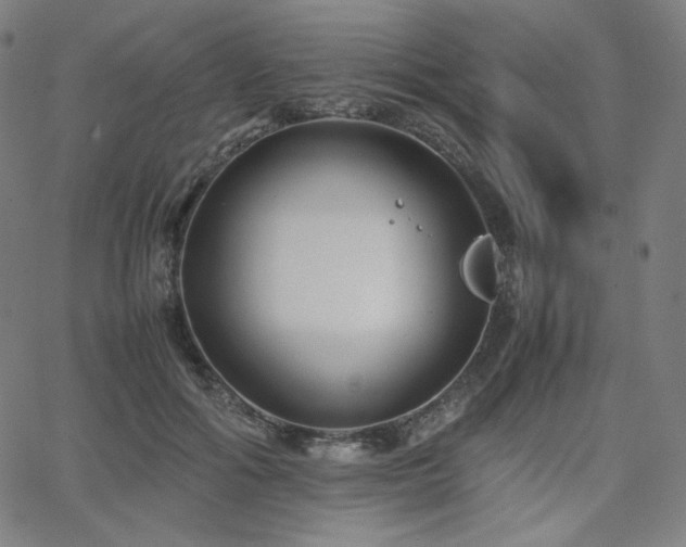 X0000066100602200603101143