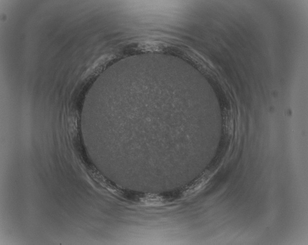 X0000066100603200603101143