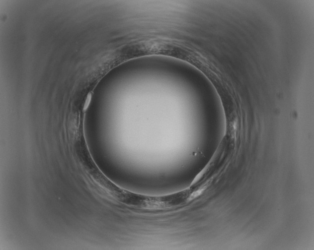 X0000066100605200603101143