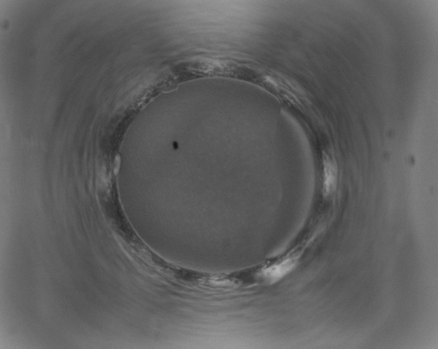 X0000066100607200603101143