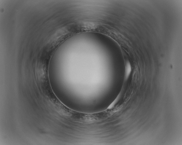 X0000066100608200603101143