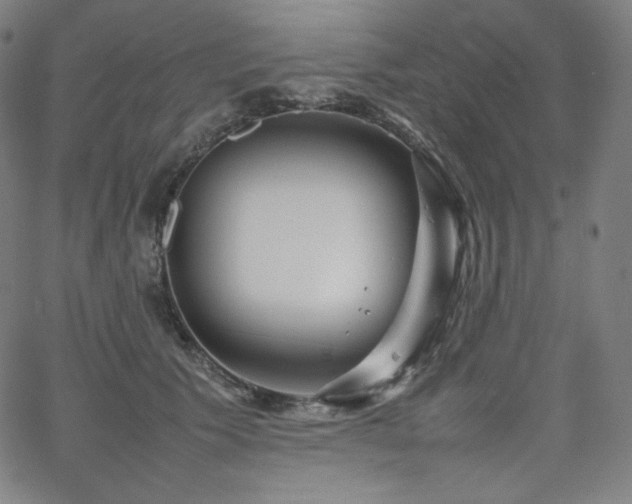 X0000066100609200603101143