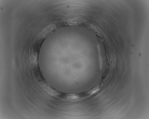 X0000066100610200603101143