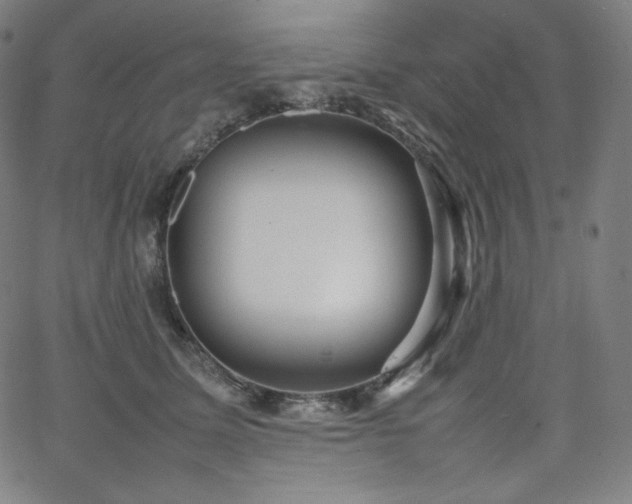 X0000066100611200603101143