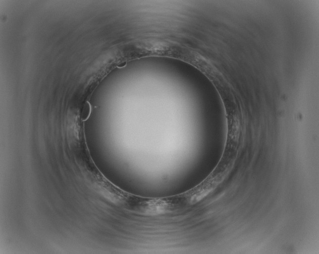 X0000066100612200603101143