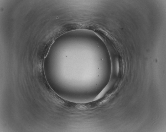 X0000066100613200603101143