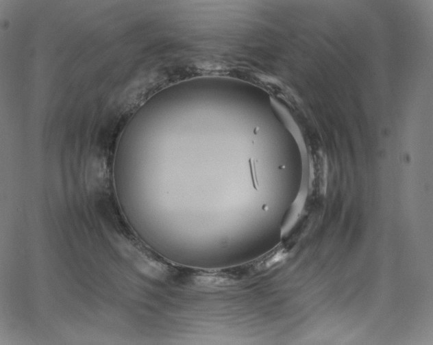 X0000066100614200603101143