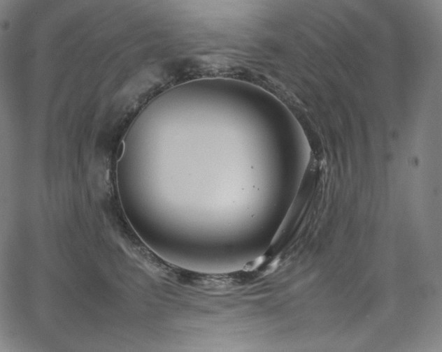 X0000066100615200603101143