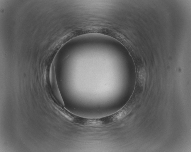 X0000066100617200603101143