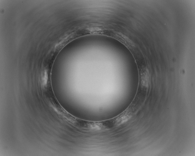 X0000066100618200603101143