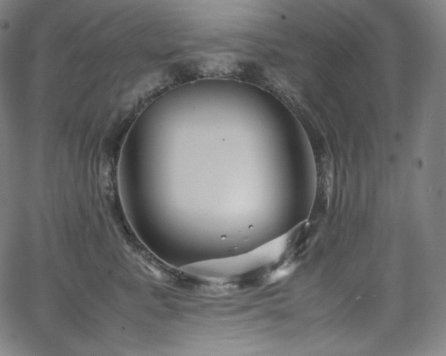 X0000066100619200603101143