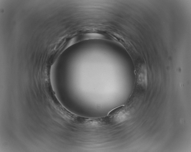 X0000066100620200603101143