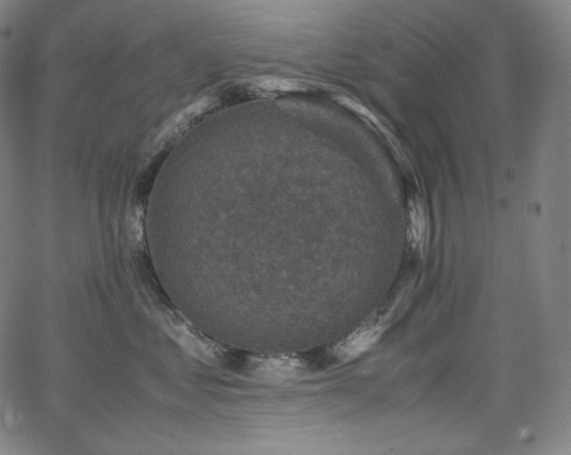 X0000066100621200603101143