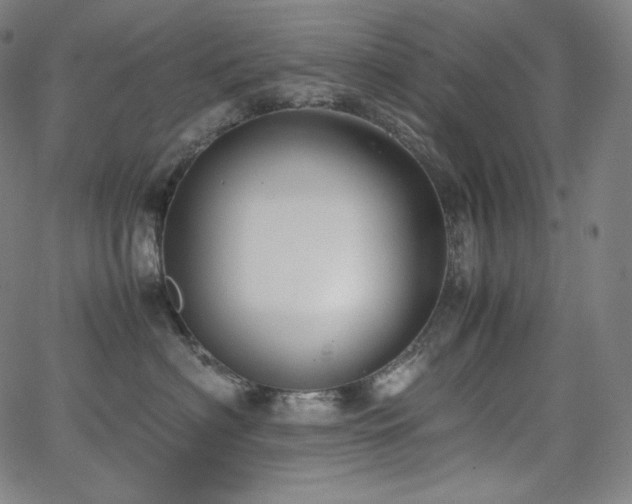 X0000066100622200603101143