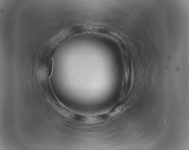 X0000066100623200603101143