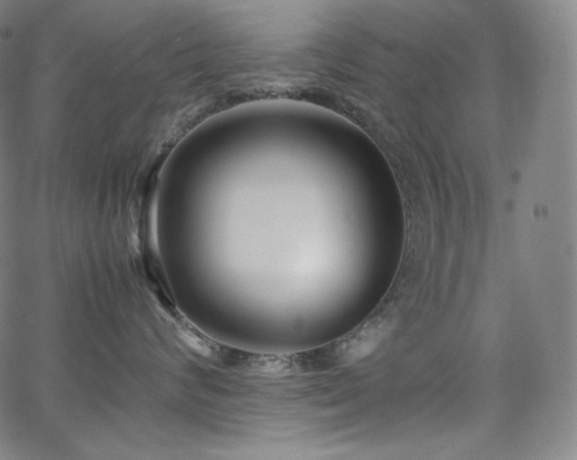 X0000066100624200603101142