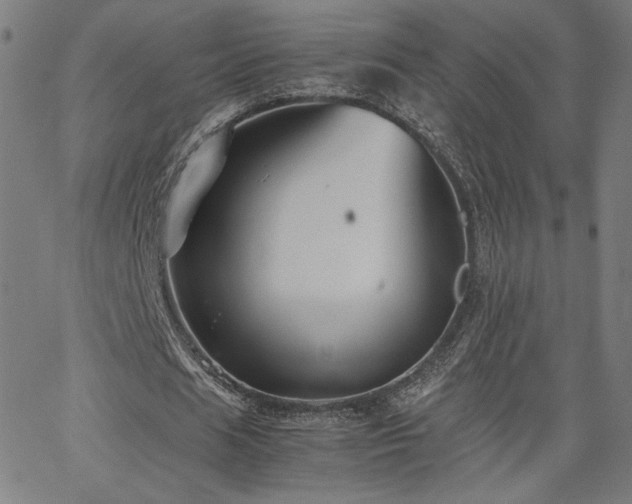 X0000066100625200603101142