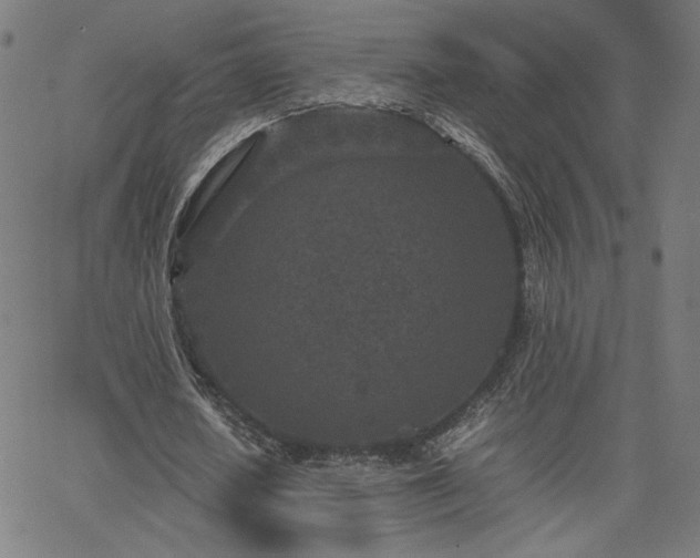 X0000066100626200603101142