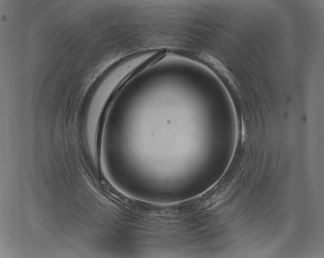 X0000066100627200603101142