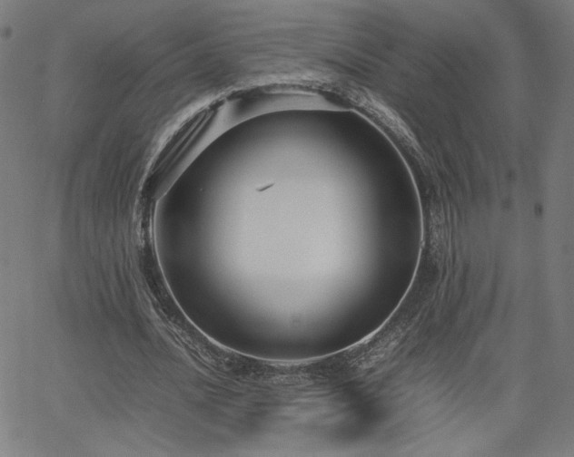 X0000066100628200603101142