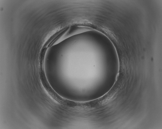 X0000066100630200603101142