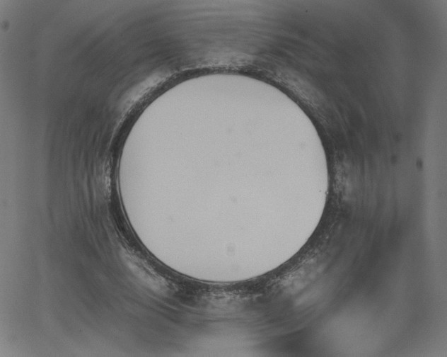 X0000066100632200603101142