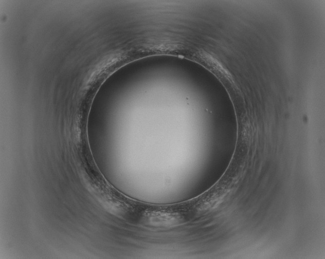 X0000066100635200603101142