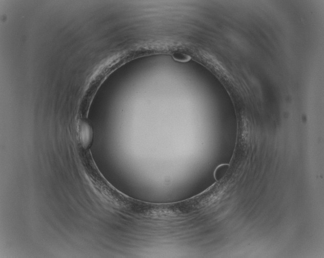 X0000066100636200603101142