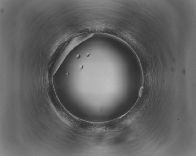 X0000066100638200603101142