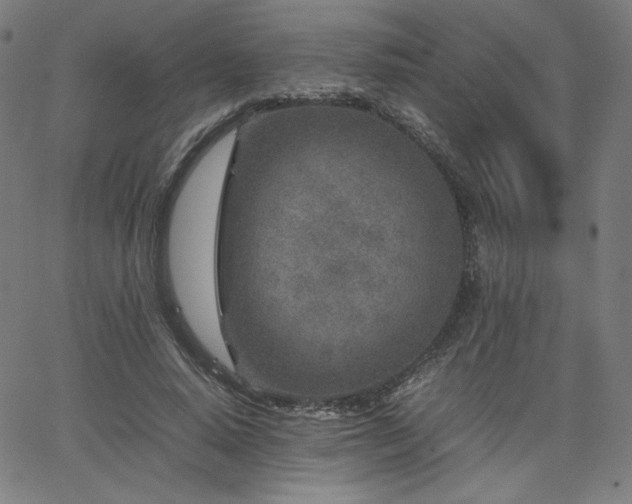 X0000066100640200603101142