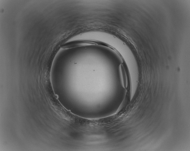 X0000066100641200603101142