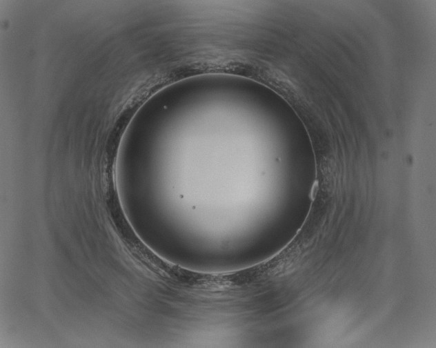 X0000066100642200603101142