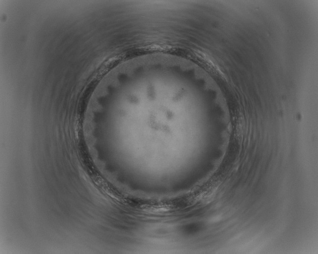 X0000066100643200603101142