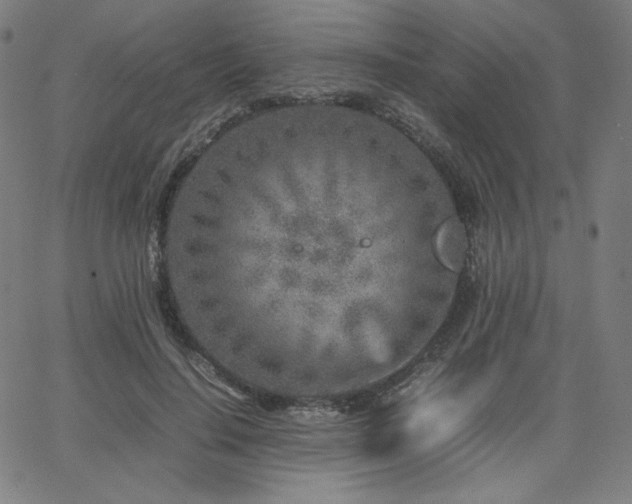 X0000066100644200603101142