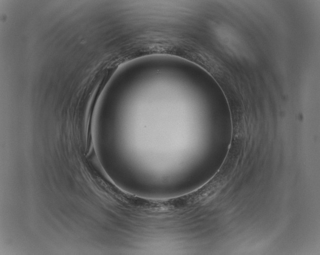 X0000066100646200603101142