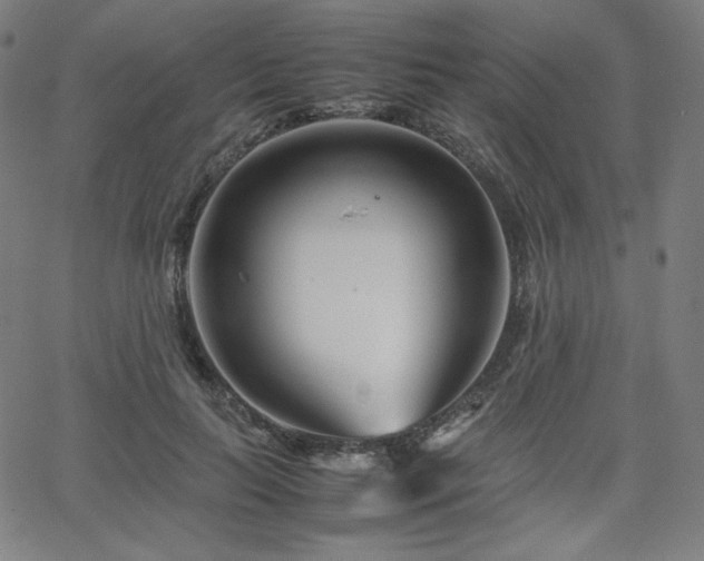 X0000066100647200603101142