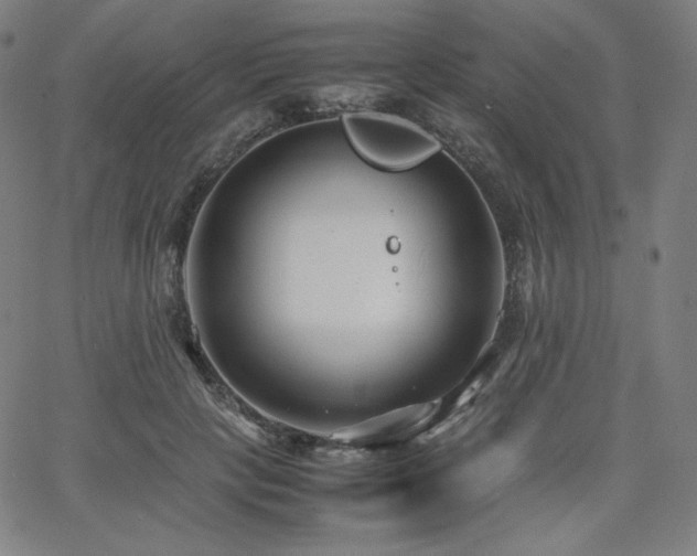 X0000066100649200603101142